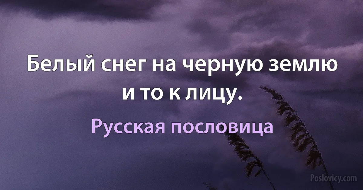 Белый снег на черную землю и то к лицу. (Русская пословица)