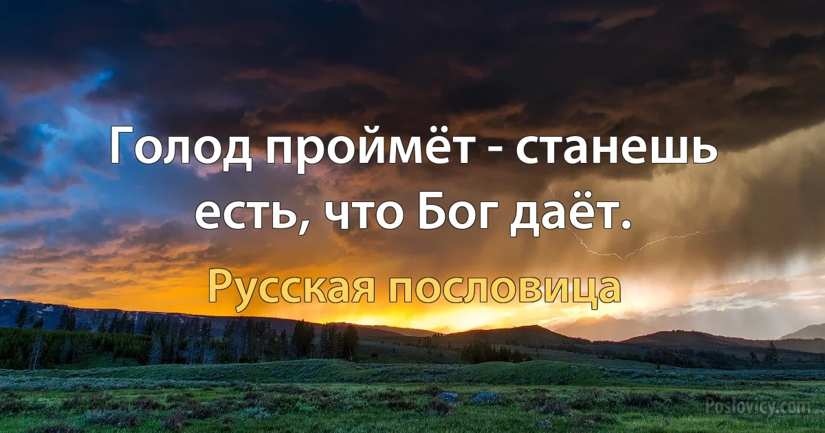 Голод проймёт - станешь есть, что Бог даёт. (Русская пословица)