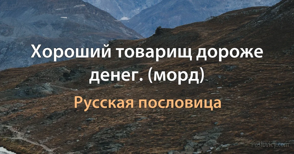 Хороший товарищ дороже денег. (морд) (Русская пословица)