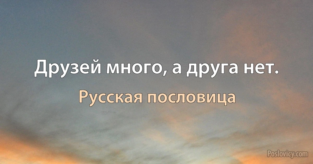 Друзей много, а друга нет. (Русская пословица)