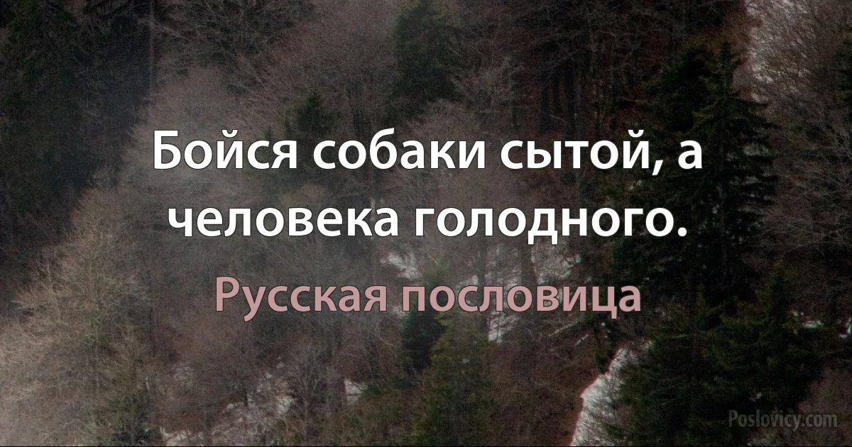 Бойся собаки сытой, а человека голодного. (Русская пословица)