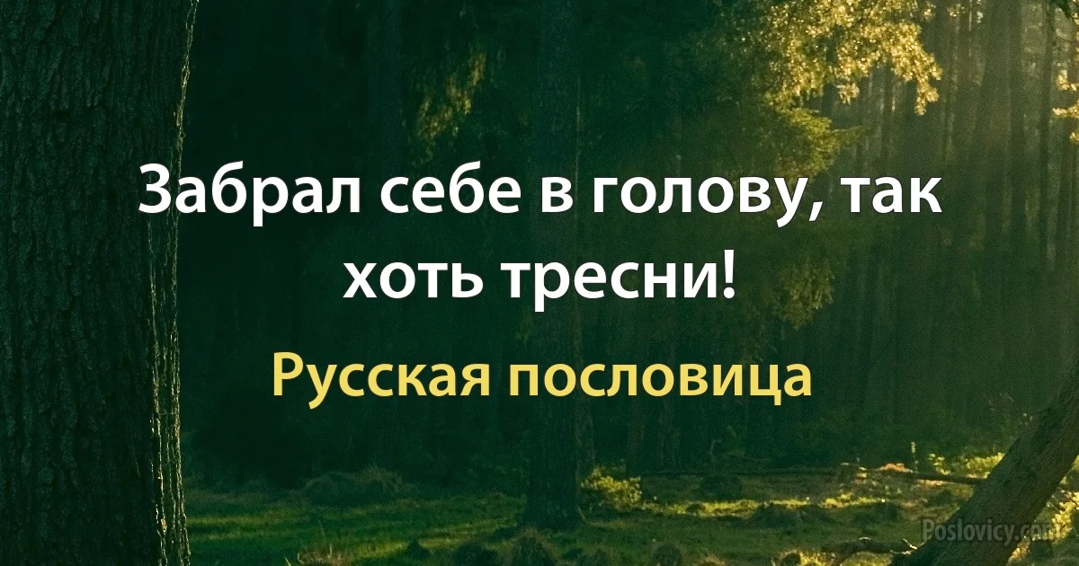 Забрал себе в голову, так хоть тресни! (Русская пословица)