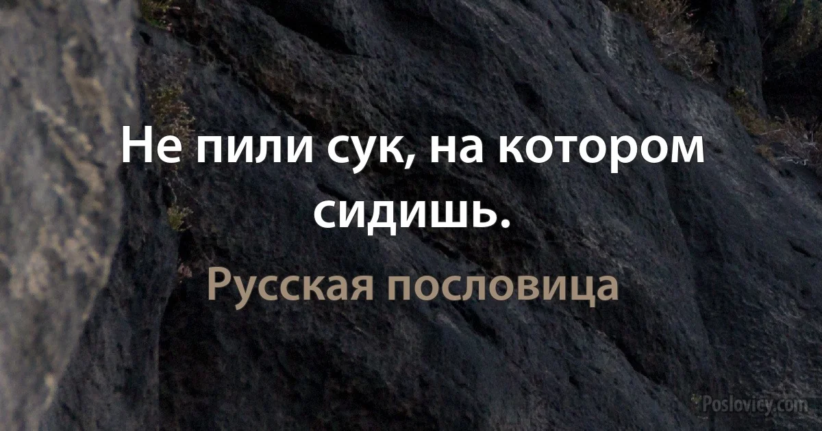 Не пили сук, на котором сидишь. (Русская пословица)