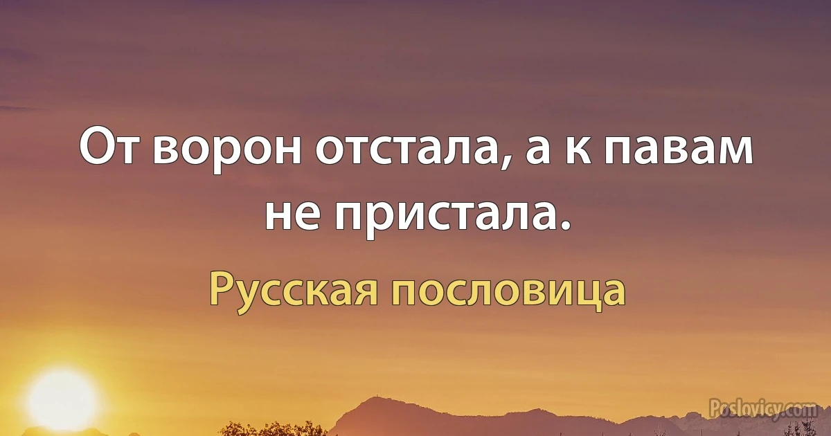 От ворон отстала, а к павам не пристала. (Русская пословица)