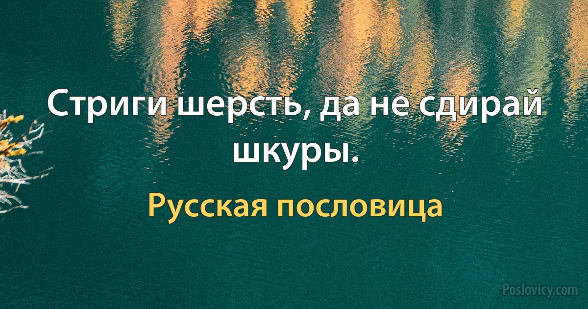 Стриги шерсть, да не сдирай шкуры. (Русская пословица)