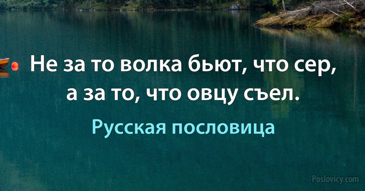 Не за то волка бьют, что сер, а за то, что овцу съел. (Русская пословица)