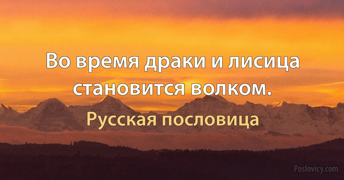 Во время драки и лисица становится волком. (Русская пословица)