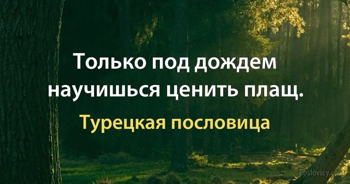 Только под дождем научишься ценить плащ. (Турецкая пословица)