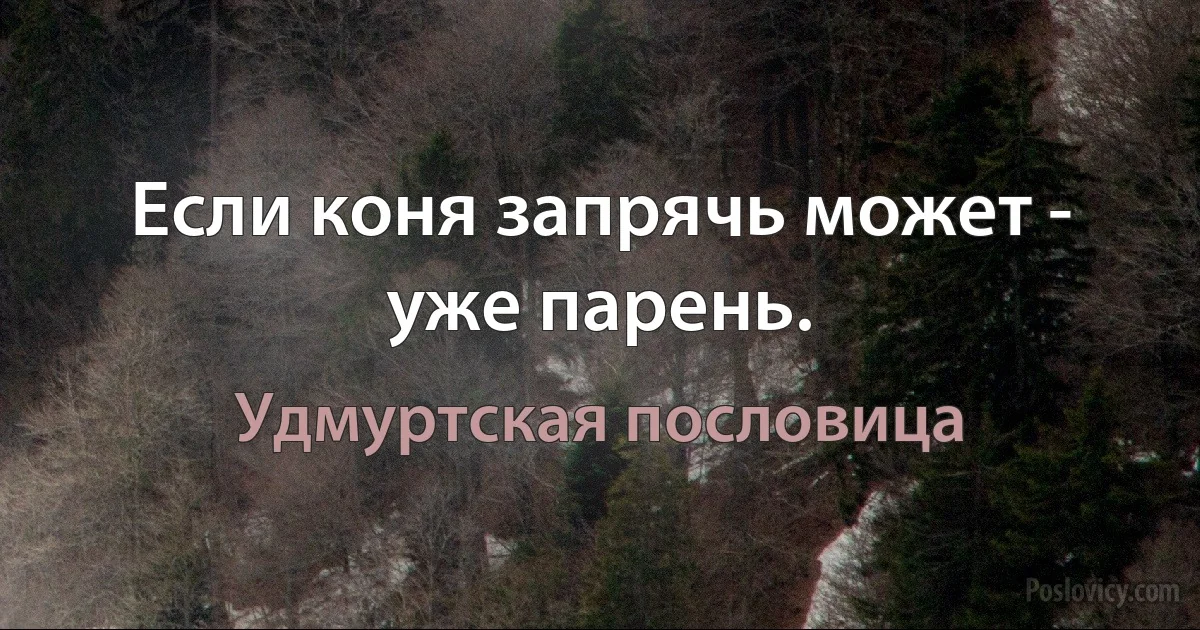 Если коня запрячь может - уже парень. (Удмуртская пословица)