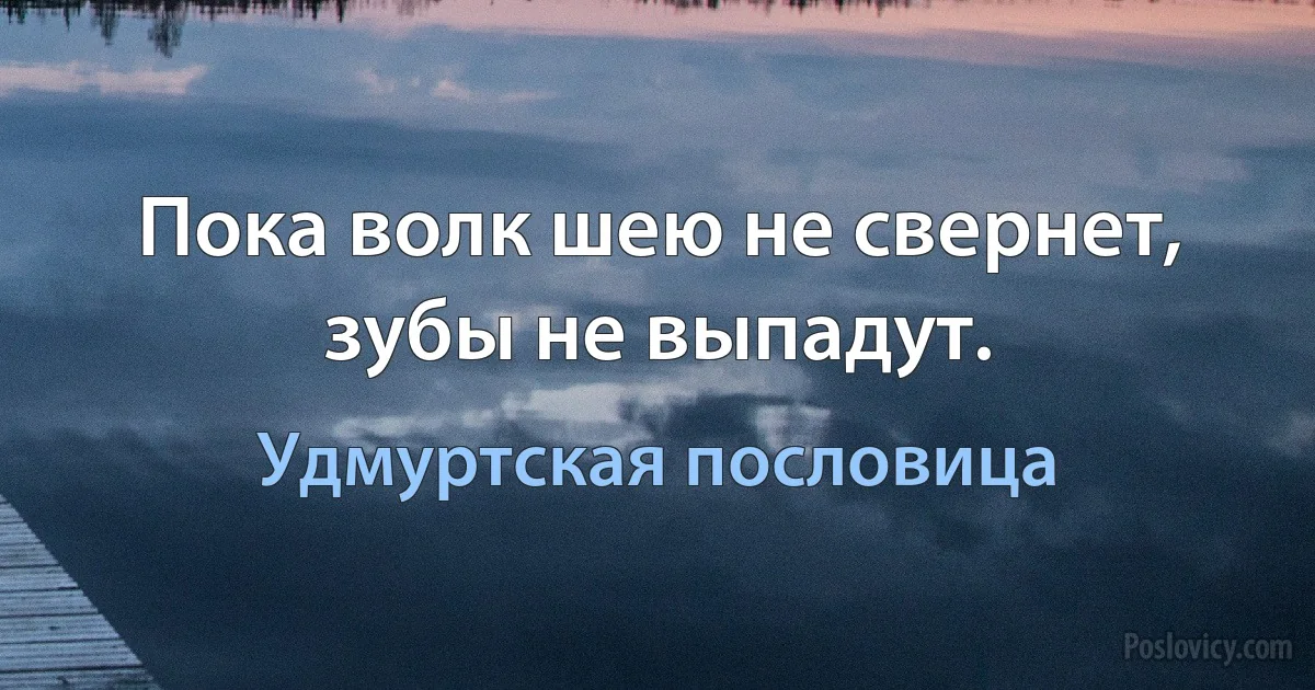 Пока волк шею не свернет, зубы не выпадут. (Удмуртская пословица)