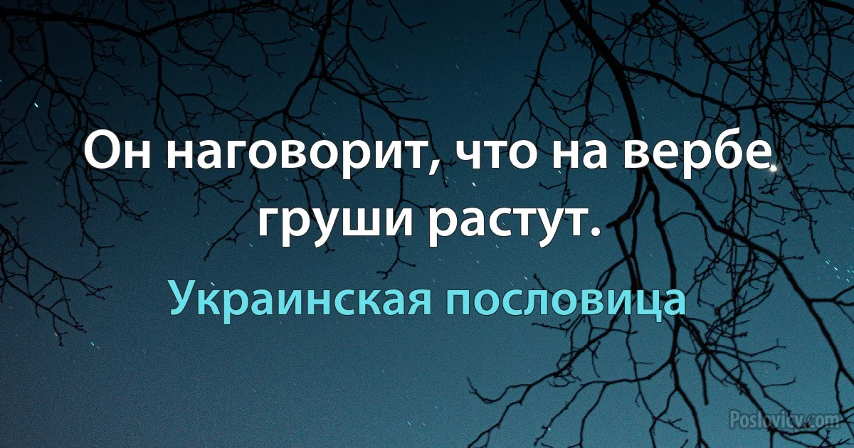 Он наговорит, что на вербе груши растут. (Украинская пословица)