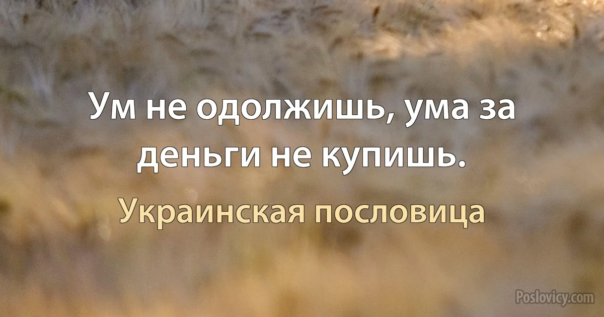 Ум не одолжишь, ума за деньги не купишь. (Украинская пословица)