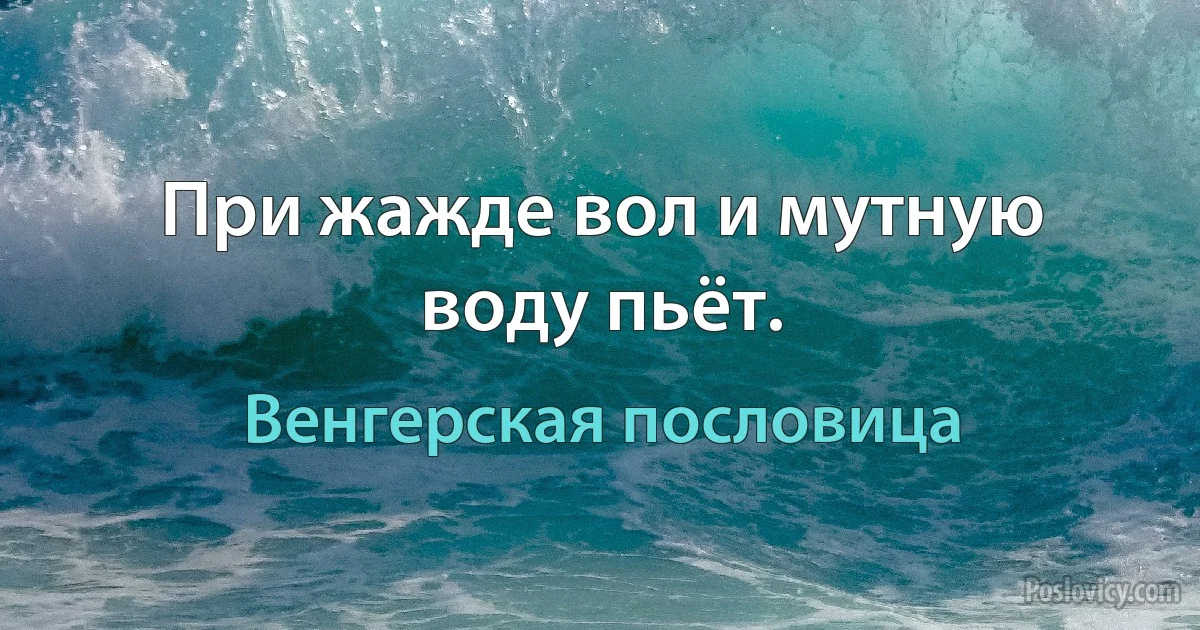 При жажде вол и мутную воду пьёт. (Венгерская пословица)