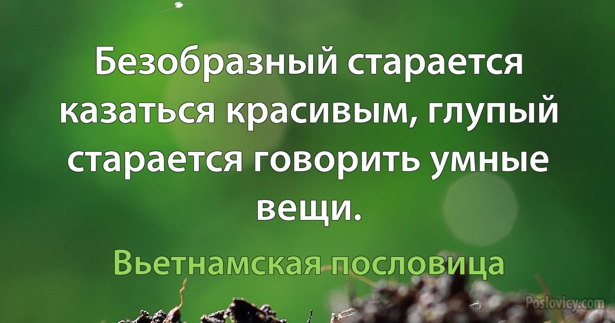 Безобразный старается казаться красивым, глупый старается говорить умные вещи. (Вьетнамская пословица)