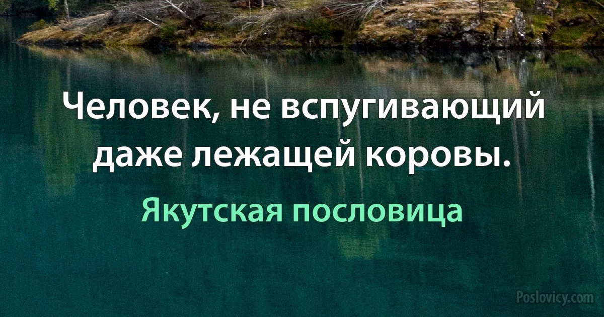 Человек, не вспугивающий даже лежащей коровы. (Якутская пословица)