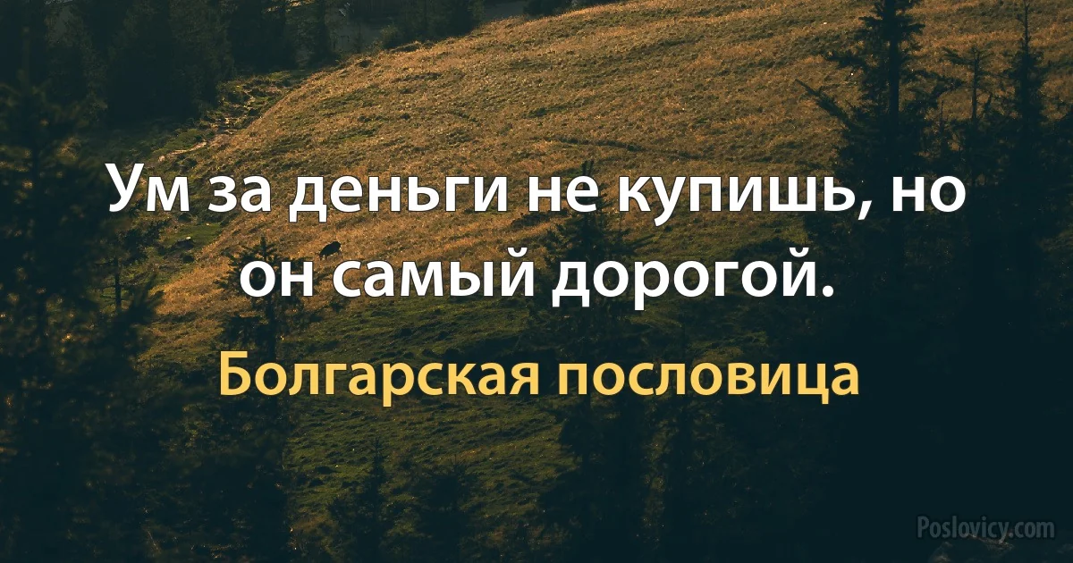 Ум за деньги не купишь, но он самый дорогой. (Болгарская пословица)