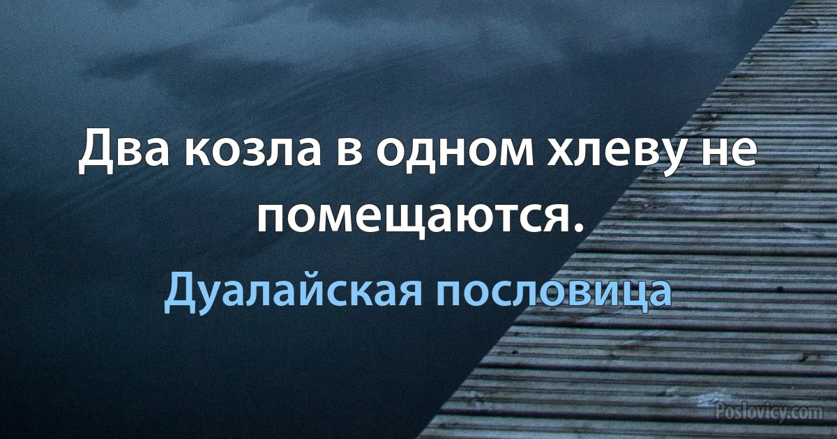 Два козла в одном хлеву не помещаются. (Дуалайская пословица)