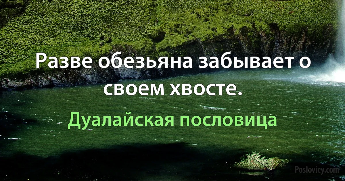 Разве обезьяна забывает о своем хвосте. (Дуалайская пословица)