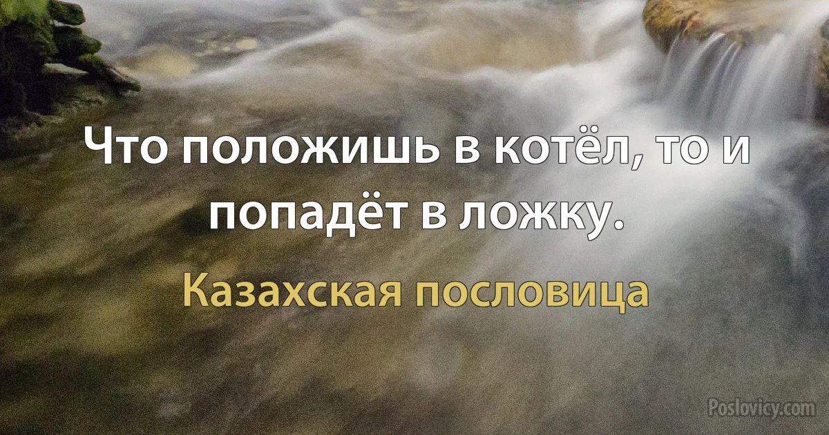 Что положишь в котёл, то и попадёт в ложку. (Казахская пословица)