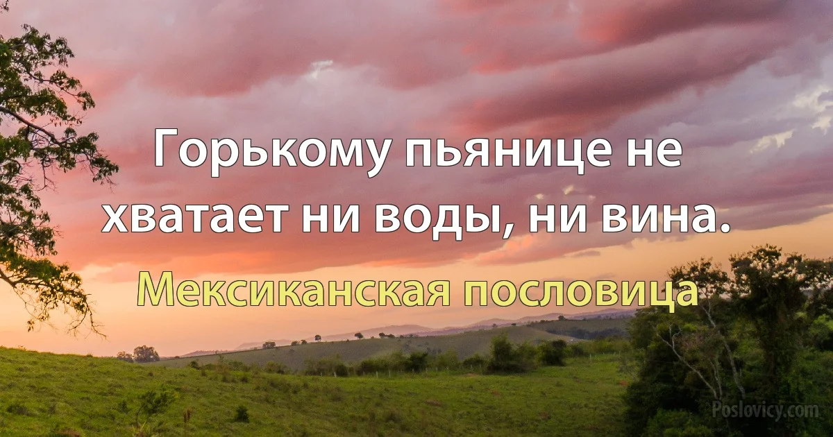 Горькому пьянице не хватает ни воды, ни вина. (Мексиканская пословица)