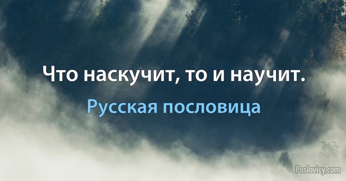 Что наскучит, то и научит. (Русская пословица)