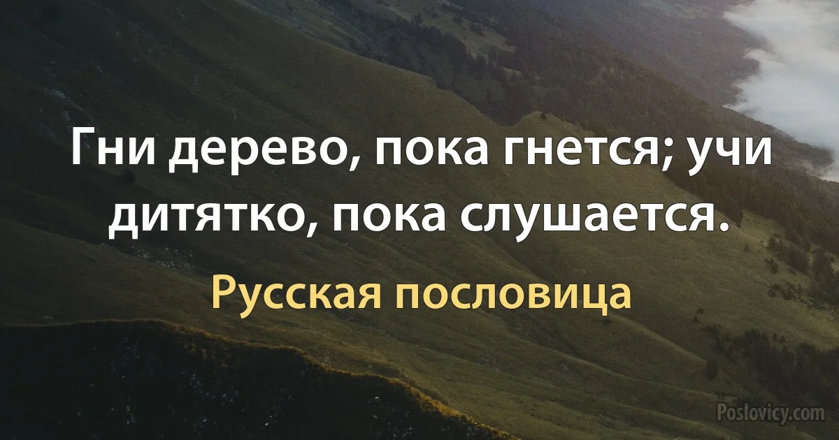 Гни дерево, пока гнется; учи дитятко, пока слушается. (Русская пословица)