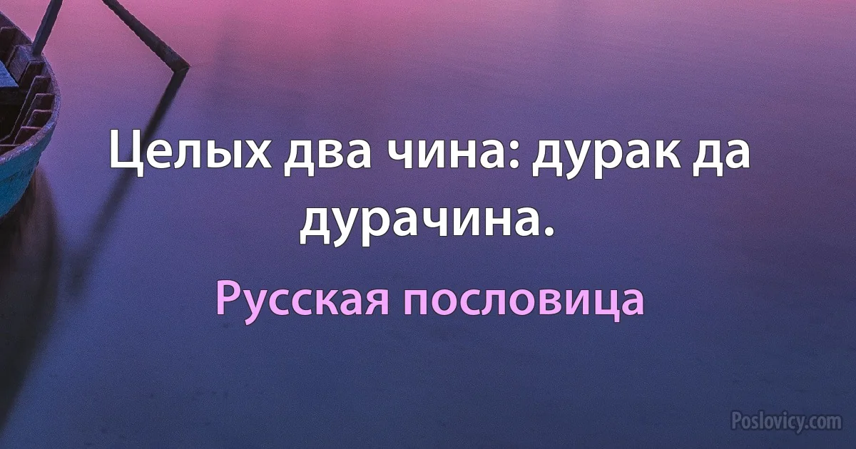 Целых два чина: дурак да дурачина. (Русская пословица)