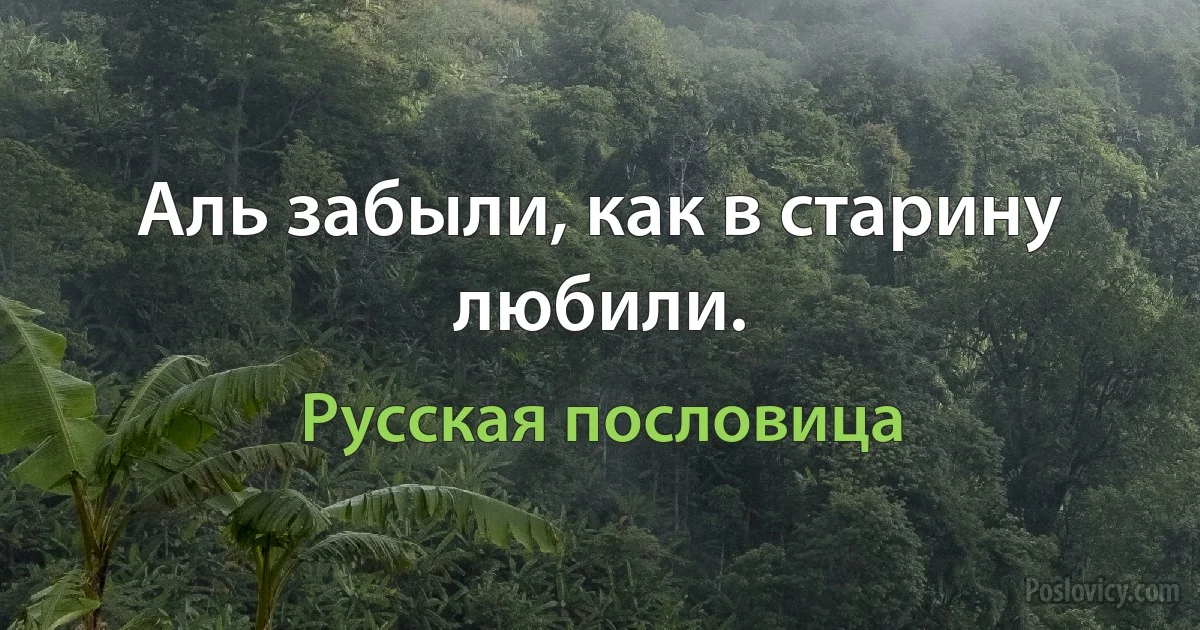 Аль забыли, как в старину любили. (Русская пословица)