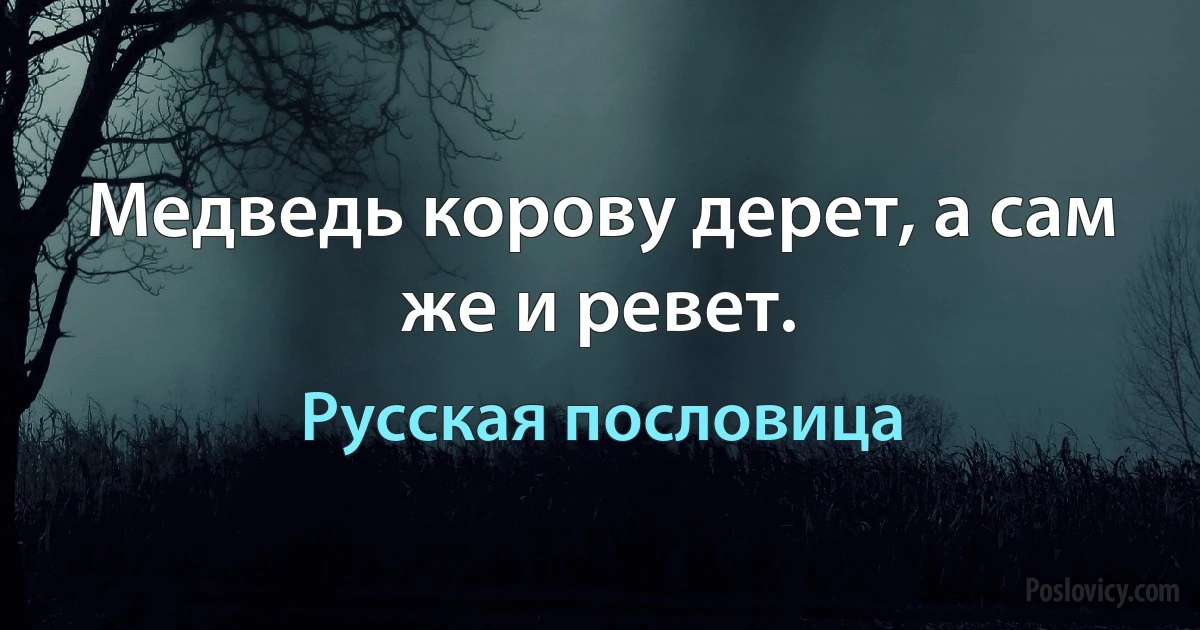 Медведь корову дерет, а сам же и ревет. (Русская пословица)