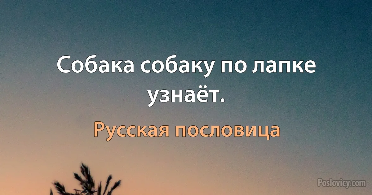 Собака собаку по лапке узнаёт. (Русская пословица)