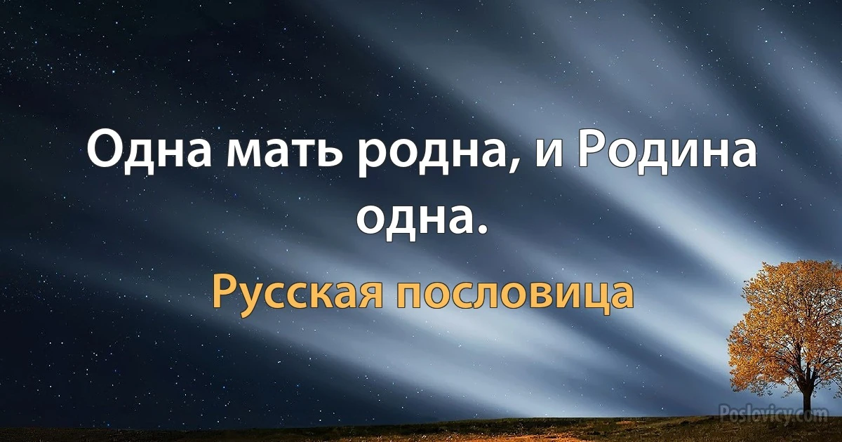 Одна мать родна, и Родина одна. (Русская пословица)