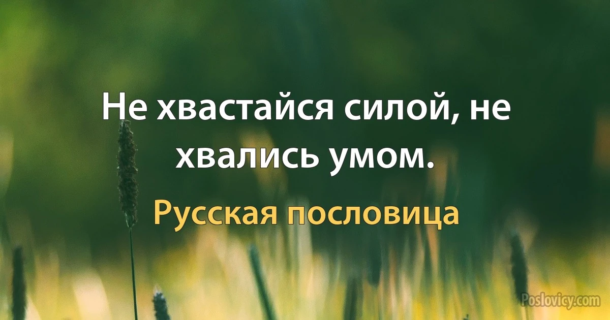 Не хвастайся силой, не хвались умом. (Русская пословица)