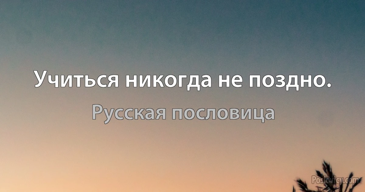 Учиться никогда не поздно. (Русская пословица)