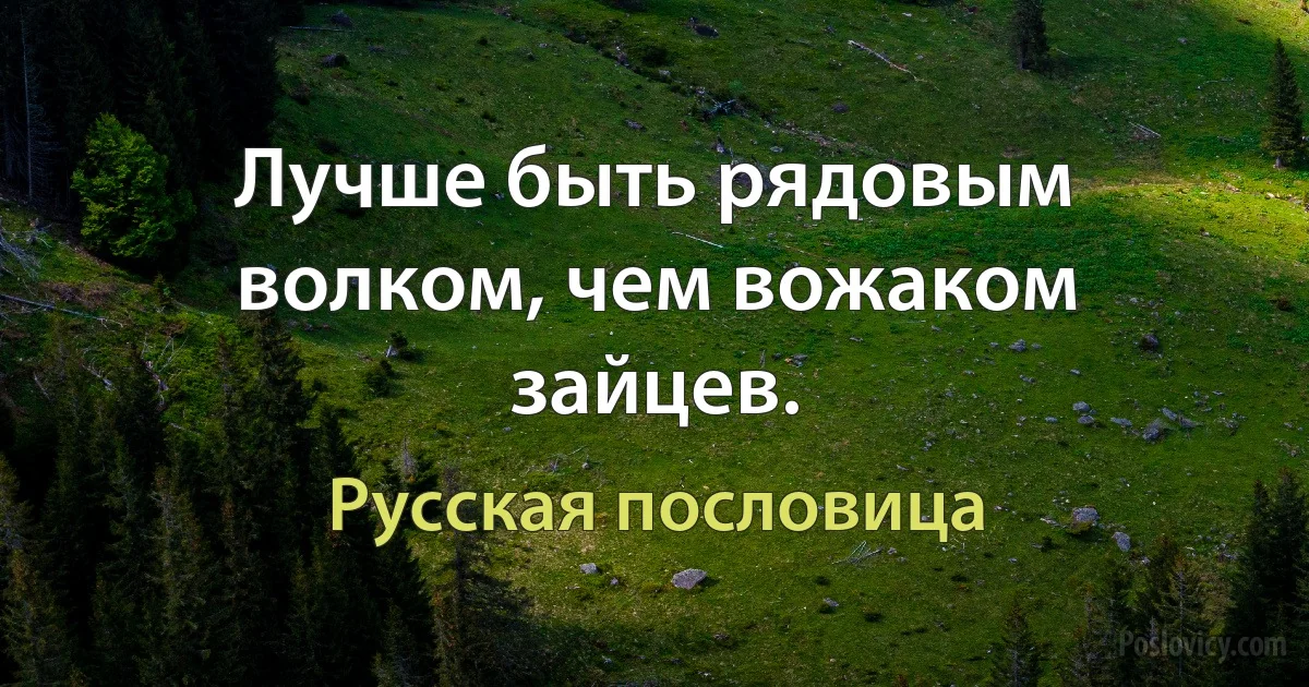 Лучше быть рядовым волком, чем вожаком зайцев. (Русская пословица)