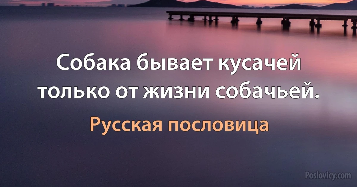 Собака бывает кусачей только от жизни собачьей. (Русская пословица)