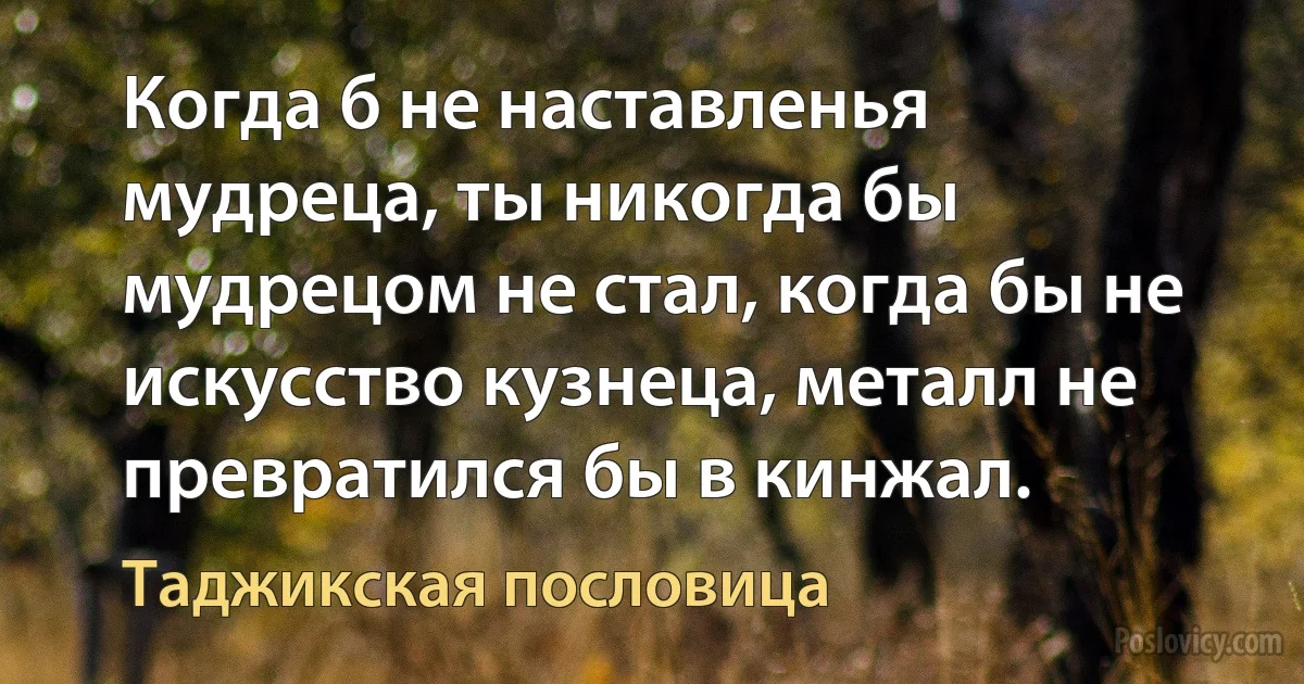 Когда б не наставленья мудреца, ты никогда бы мудрецом не стал, когда бы не искусство кузнеца, металл не превратился бы в кинжал. (Таджикская пословица)