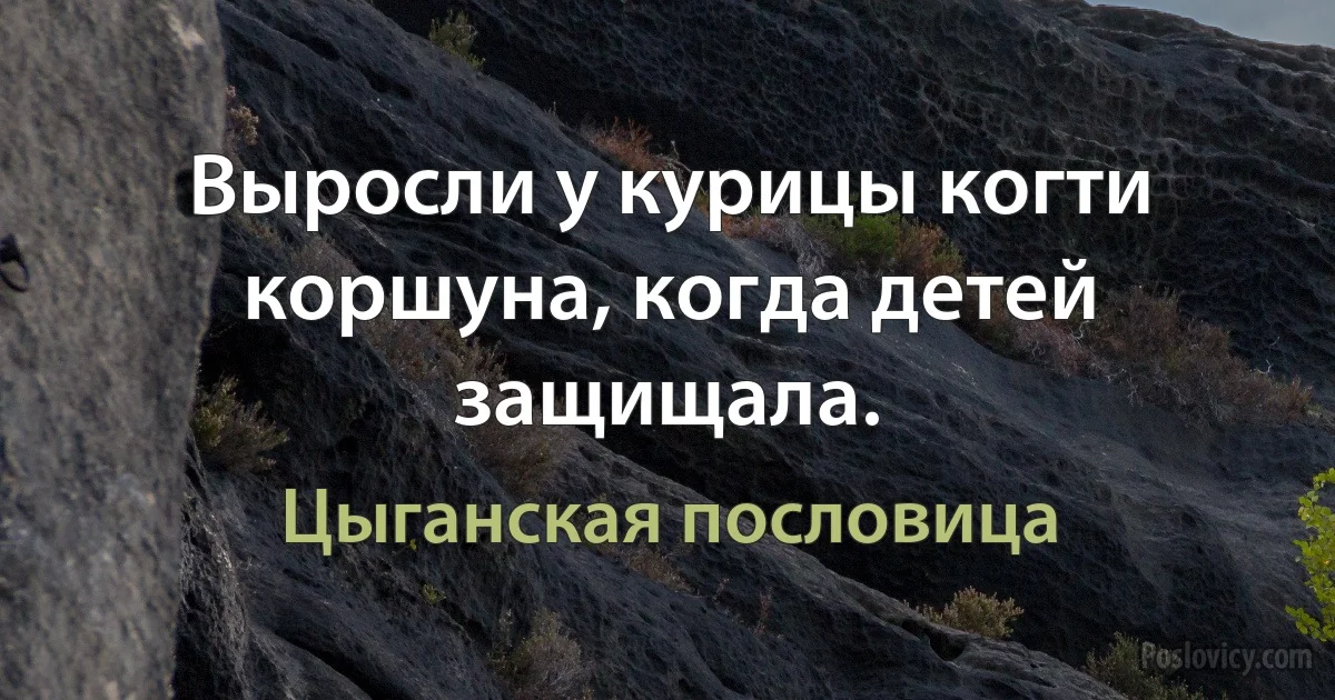 Выросли у курицы когти коршуна, когда детей защищала. (Цыганская пословица)