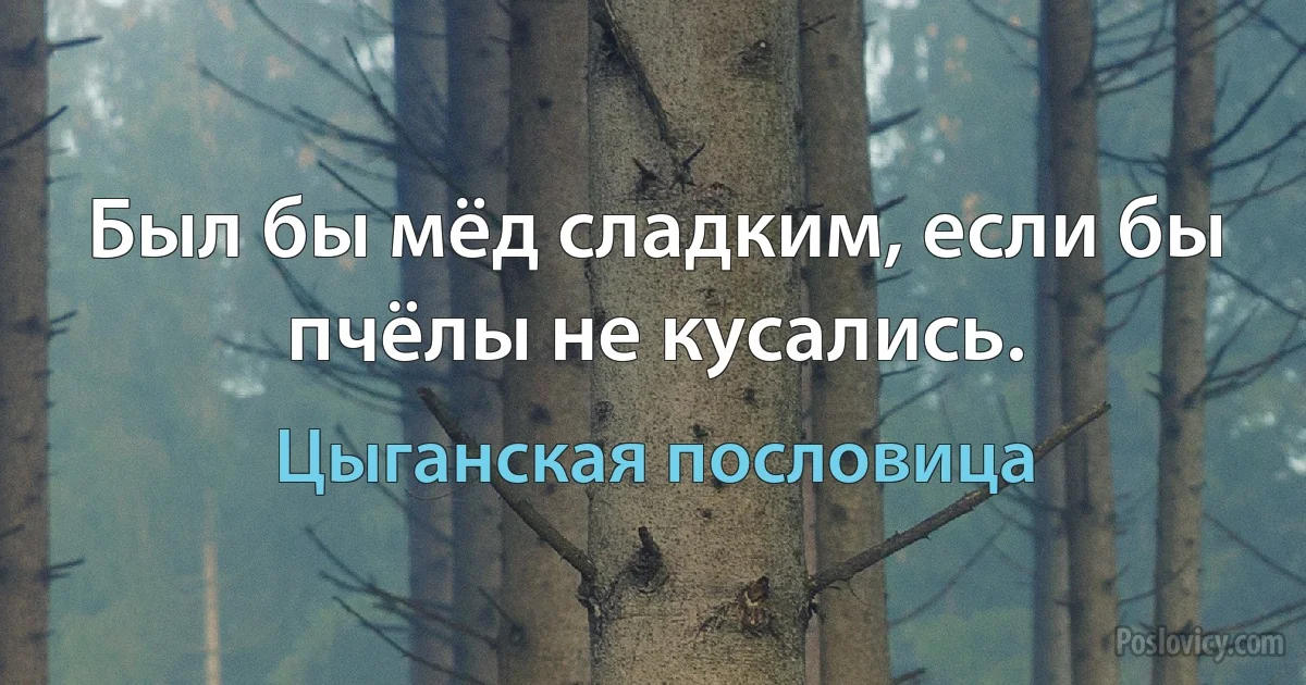 Был бы мёд сладким, если бы пчёлы не кусались. (Цыганская пословица)