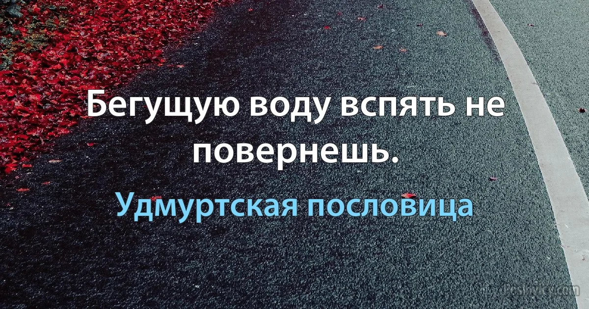 Бегущую воду вспять не повернешь. (Удмуртская пословица)