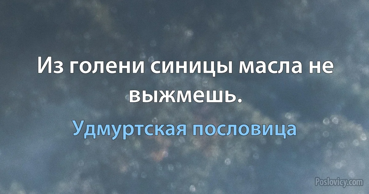 Из голени синицы масла не выжмешь. (Удмуртская пословица)