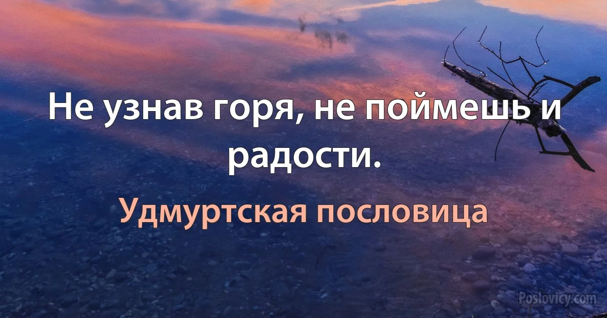 Не узнав горя, не поймешь и радости. (Удмуртская пословица)