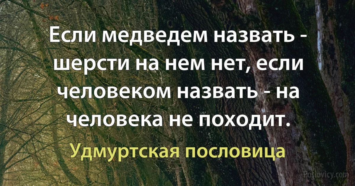 Если медведем назвать - шерсти на нем нет, если человеком назвать - на человека не походит. (Удмуртская пословица)