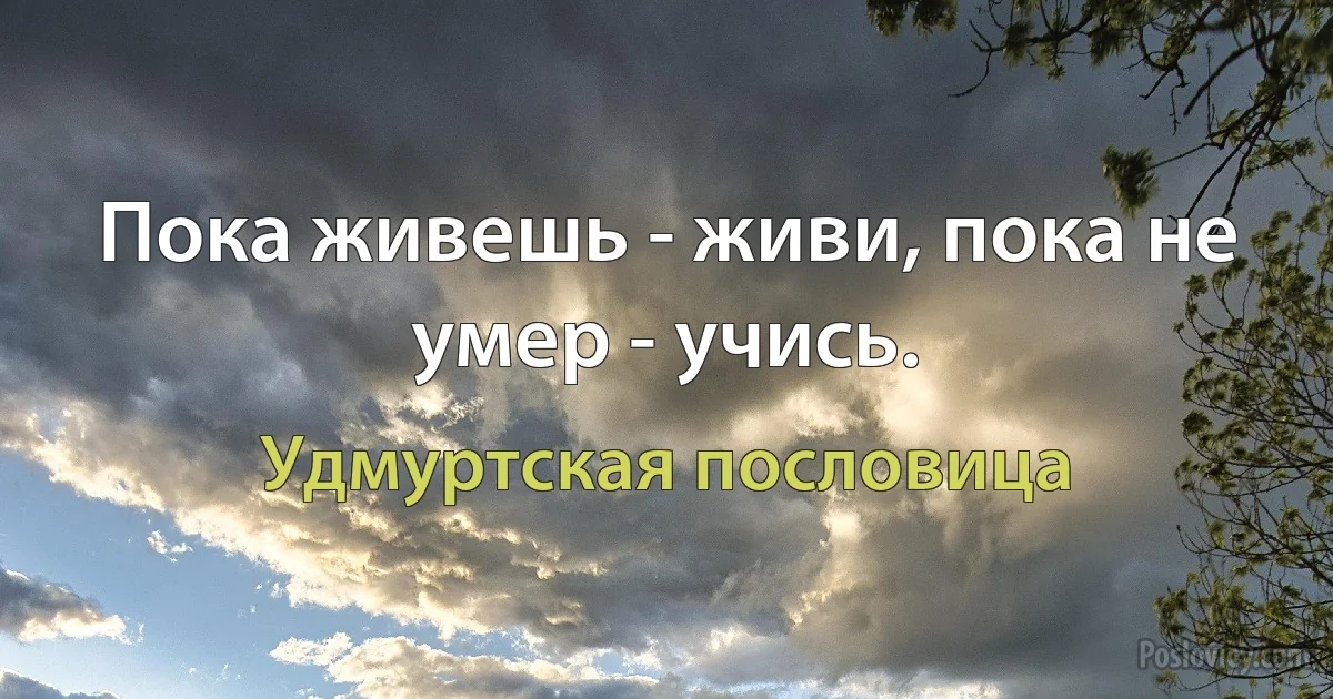 Пока живешь - живи, пока не умер - учись. (Удмуртская пословица)