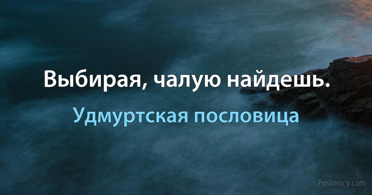 Выбирая, чалую найдешь. (Удмуртская пословица)