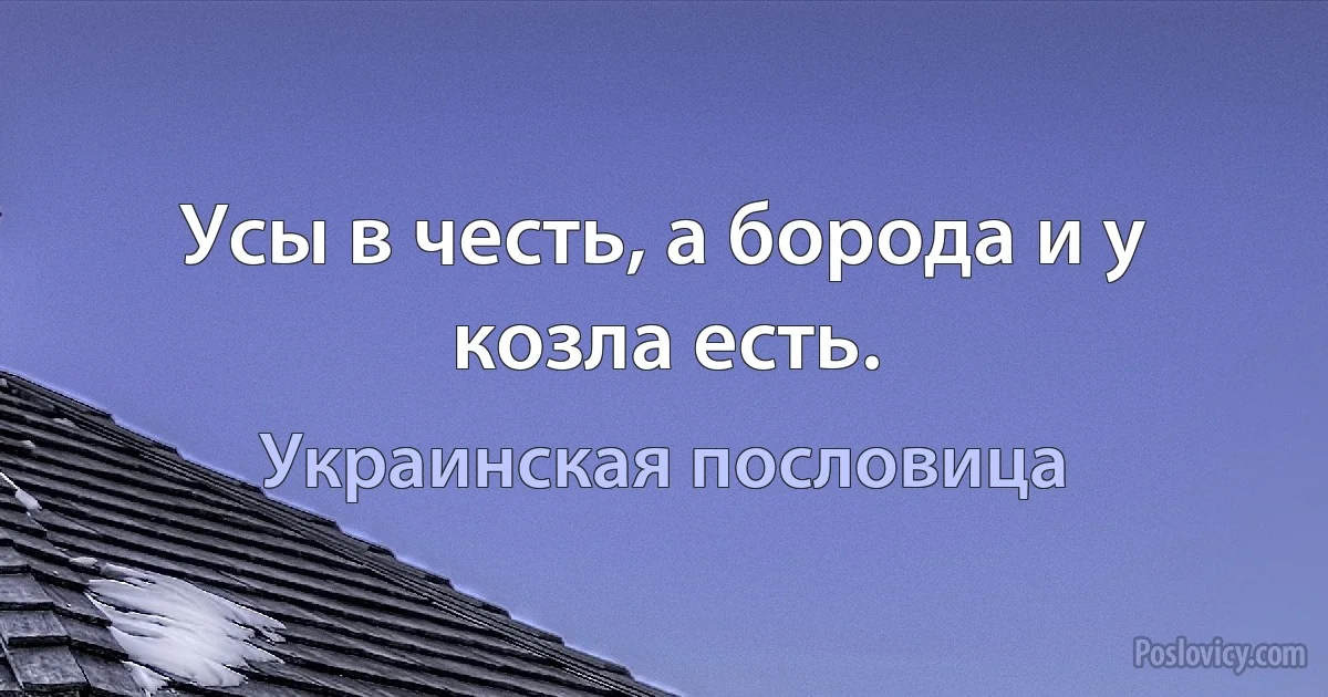 Усы в честь, а борода и у козла есть. (Украинская пословица)