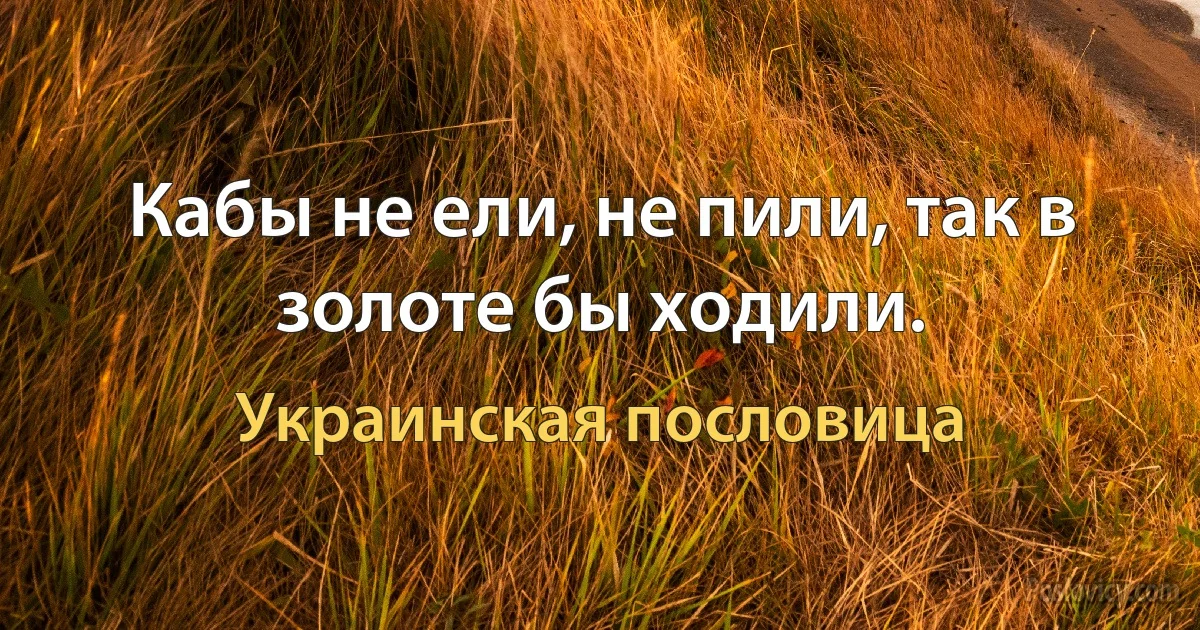 Кабы не ели, не пили, так в золоте бы ходили. (Украинская пословица)