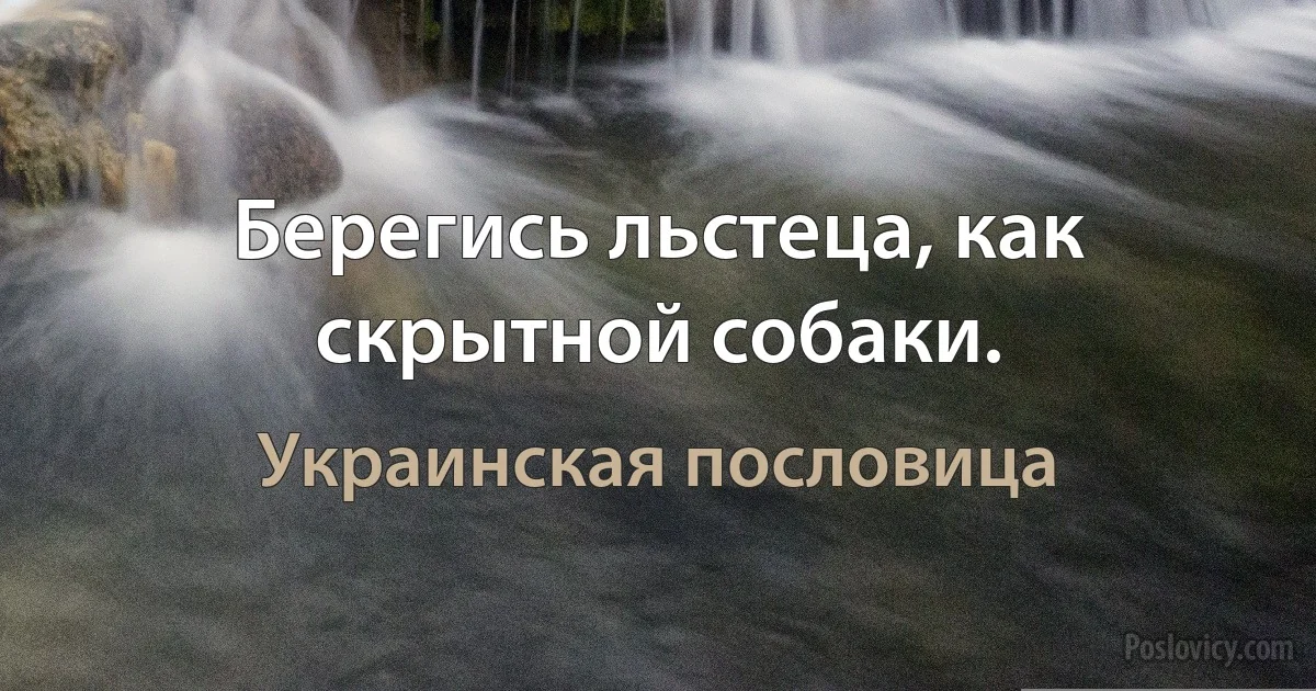 Берегись льстеца, как скрытной собаки. (Украинская пословица)