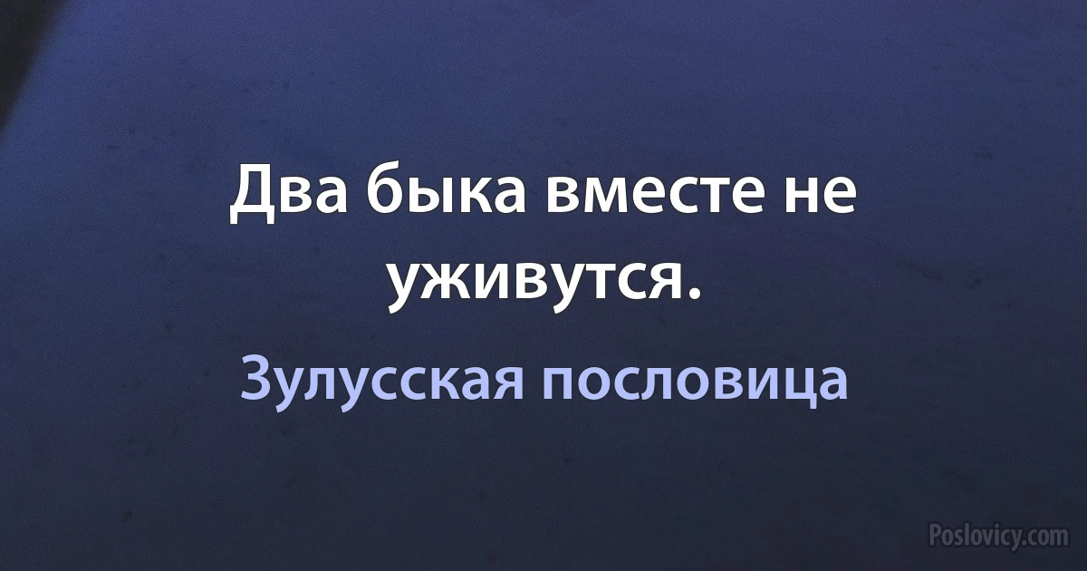 Два быка вместе не уживутся. (Зулусская пословица)