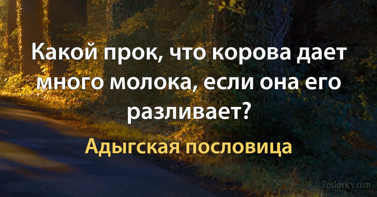 Какой прок, что корова дает много молока, если она его разливает? (Адыгская пословица)