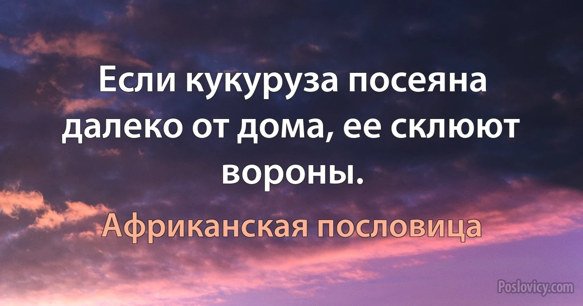 Если кукуруза посеяна далеко от дома, ее склюют вороны. (Африканская пословица)